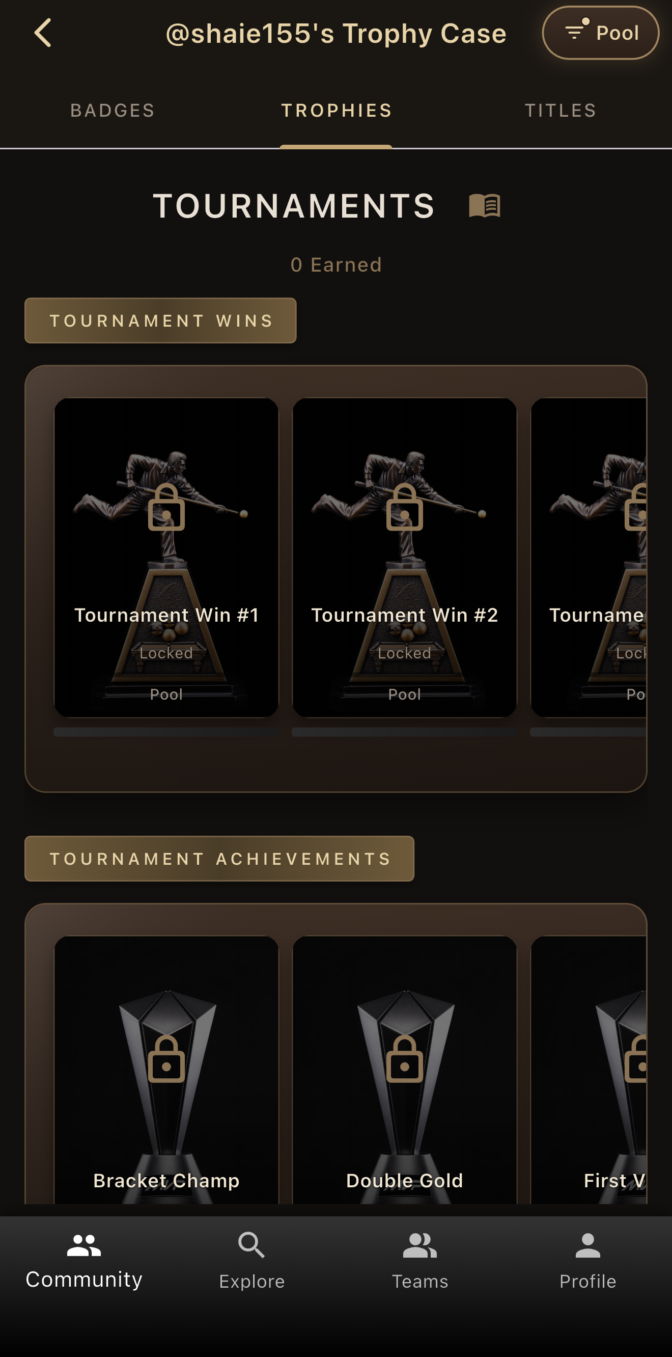 Pool trophy case